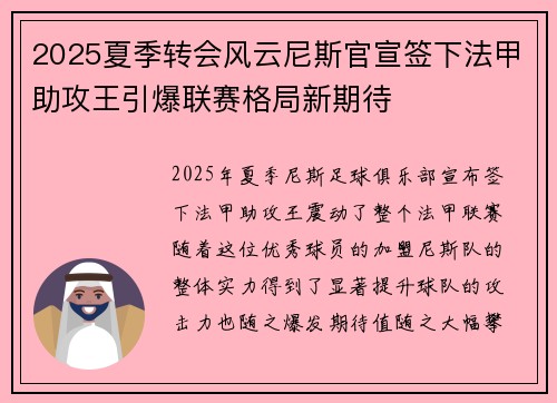 2025夏季转会风云尼斯官宣签下法甲助攻王引爆联赛格局新期待